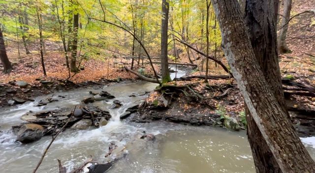 4765 Seneca Point Road, Canandaigua Town, NY 14424