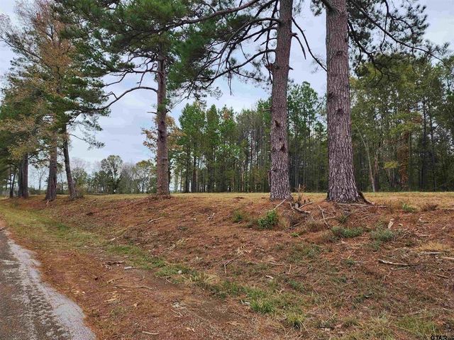 14442 Cr-363, Winona, TX 75792