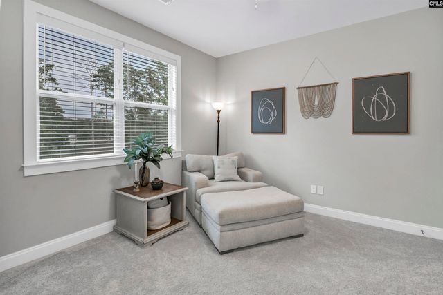 631 Sandbar Road, Chapin, SC 29036