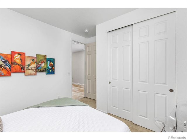5524 Bexley Drive, Windsor, CO 80550