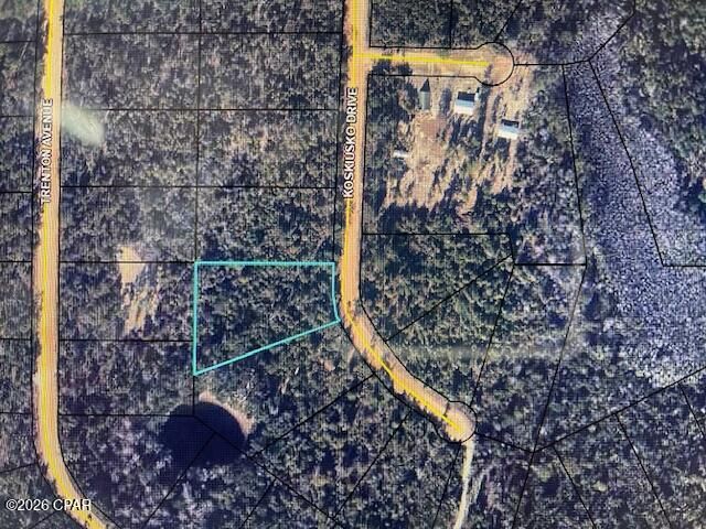 0 Koskiusko Drive, Alford, FL 32420