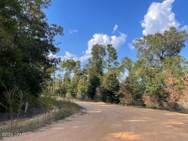 0 Koskiusko Drive, Alford, FL 32420