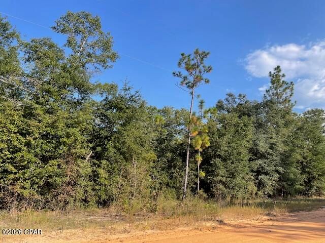 0 Koskiusko Drive, Alford, FL 32420