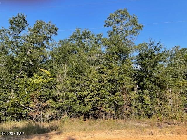 0 Koskiusko Drive, Alford, FL 32420