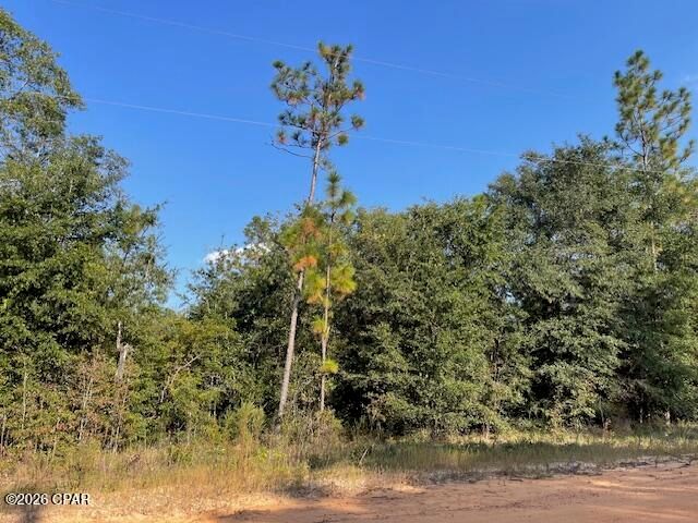 0 Koskiusko Drive, Alford, FL 32420