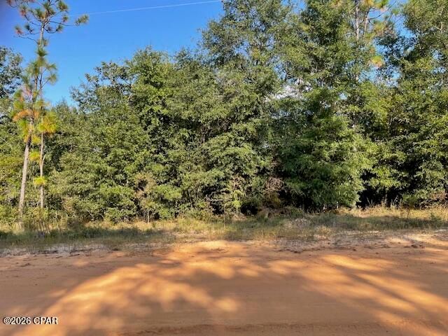 0 Koskiusko Drive, Alford, FL 32420