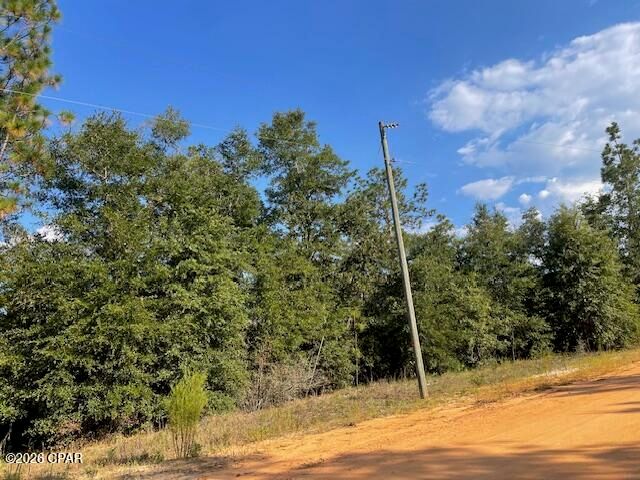 0 Koskiusko Drive, Alford, FL 32420