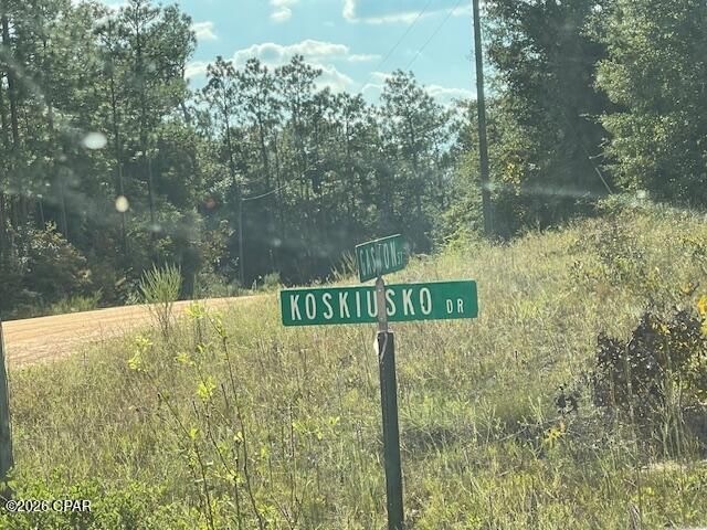 0 Koskiusko Drive, Alford, FL 32420