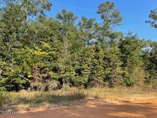 0 Koskiusko Drive, Alford, FL 32420