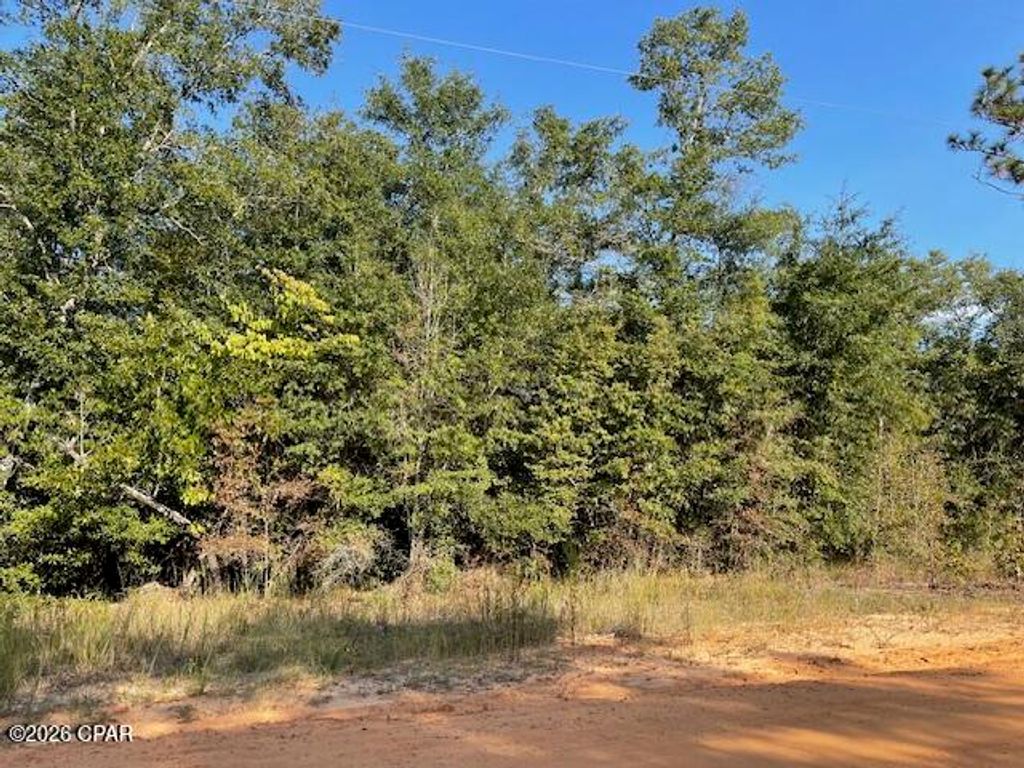 0 Koskiusko Drive, Alford, FL 32420