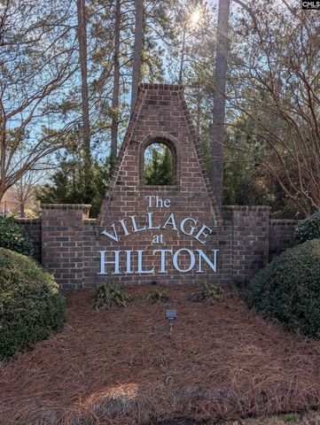 646 Village Market Drive, Chapin, SC 29036