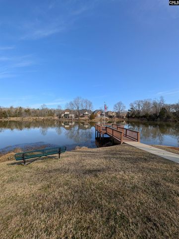 646 Village Market Drive, Chapin, SC 29036