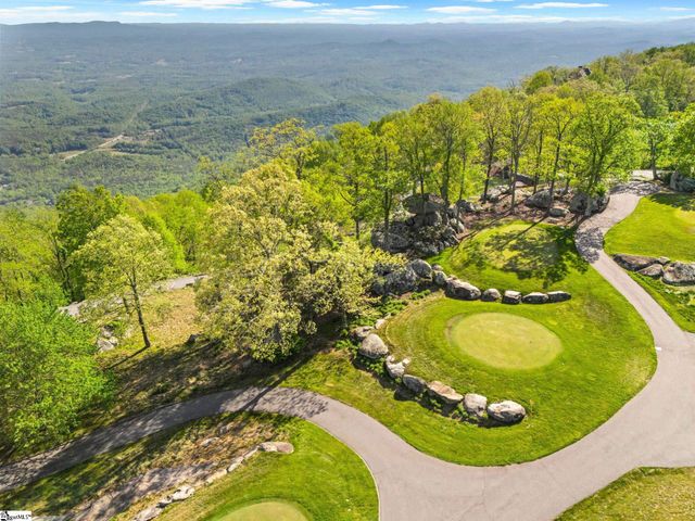 1 Touch Me Not Trail, Landrum, SC 29356