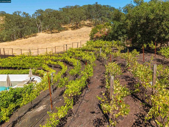 330 Twin Peaks Ln, Alamo, CA 94507