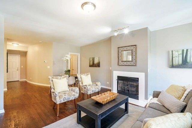343 W OLD TOWN Court 205, Chicago, IL 60610