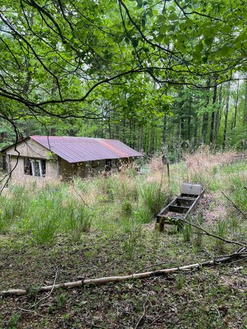 9737 Pine Forest RD, Floyd, VA 24091