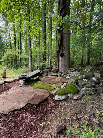 9737 Pine Forest RD, Floyd, VA 24091