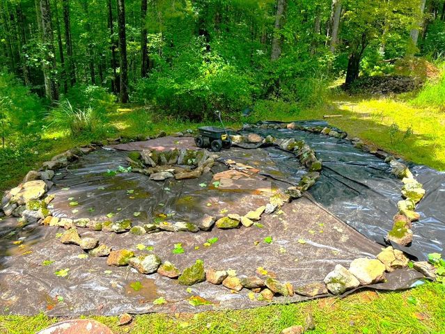 9737 Pine Forest RD, Floyd, VA 24091