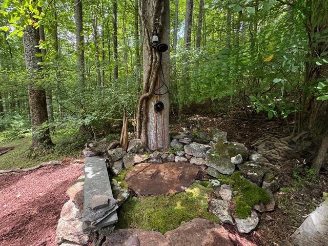 9737 Pine Forest RD, Floyd, VA 24091