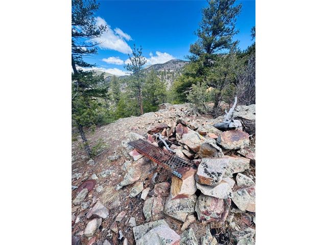 1 Gertrude Edgardine, Idaho Springs, CO 80452