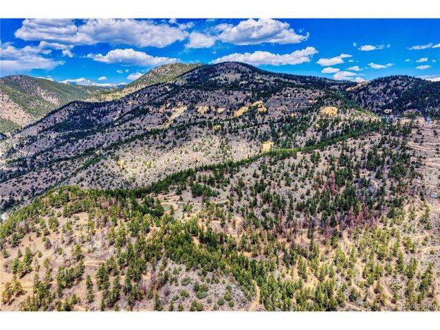 1 Gertrude Edgardine, Idaho Springs, CO 80452