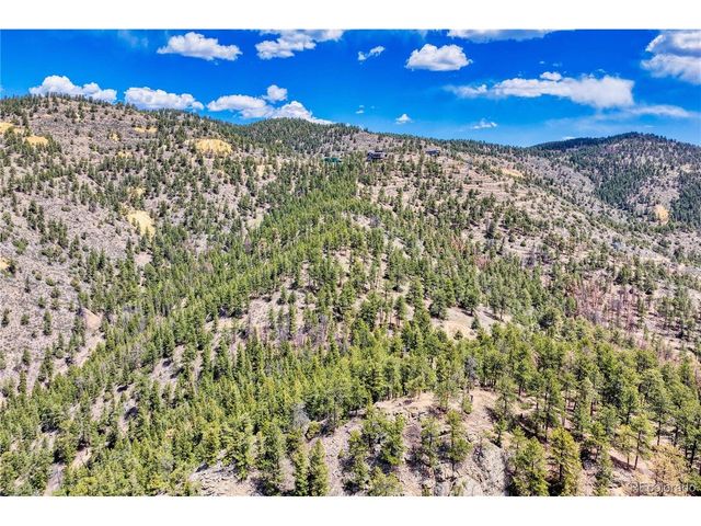 1 Gertrude Edgardine, Idaho Springs, CO 80452