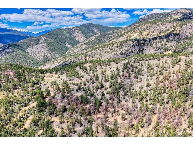 1 Gertrude Edgardine, Idaho Springs, CO 80452