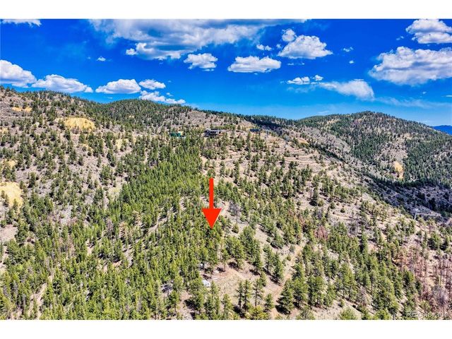1 Gertrude Edgardine, Idaho Springs, CO 80452