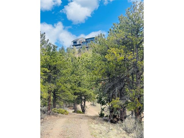 1 Gertrude Edgardine, Idaho Springs, CO 80452