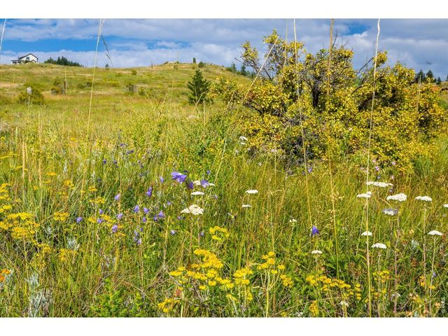 730 Lost Angel Rd, Boulder, CO 80302