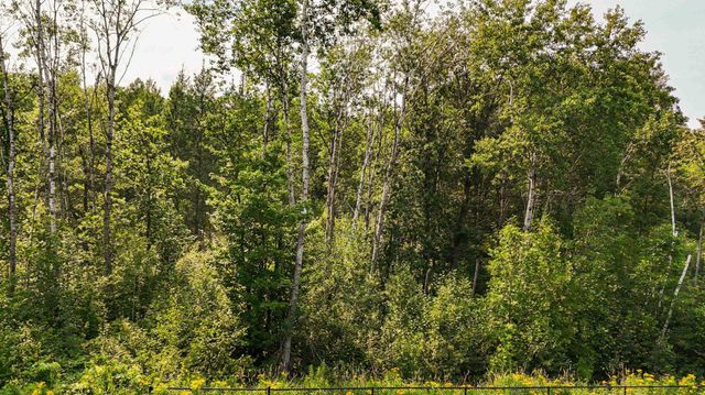 TBD4 Winter Creek Court, Fairview Twp, MN 56468