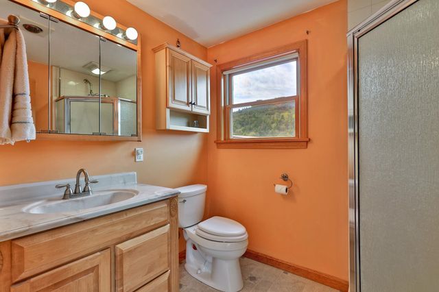 1319 Brandon Mountain Road, Rochester, VT 05767