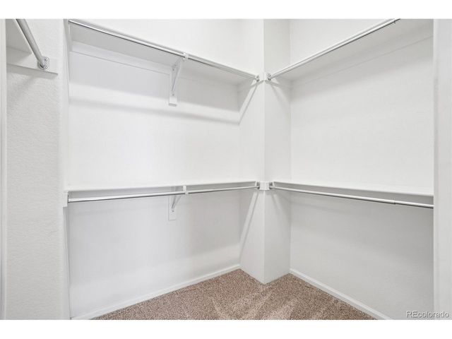 4466 Telluride Ct, Denver, CO 80249