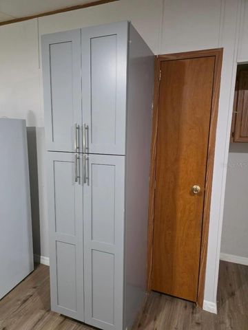 24427 WILD TURKEY ROAD, Paisley, FL 32767