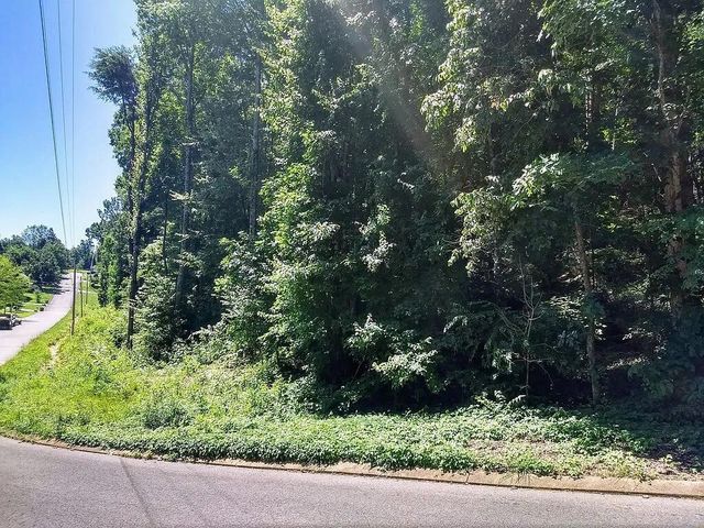 223 Hickory Ridge Trail, Ringgold, GA 30736