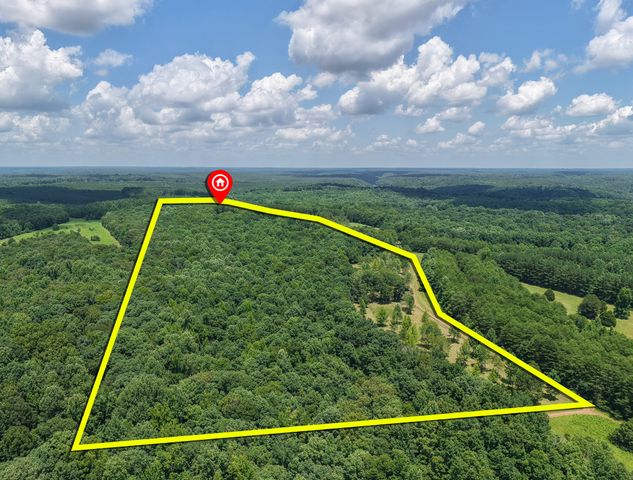 2200 Little Texas Rd, Goodspring, TN 38460