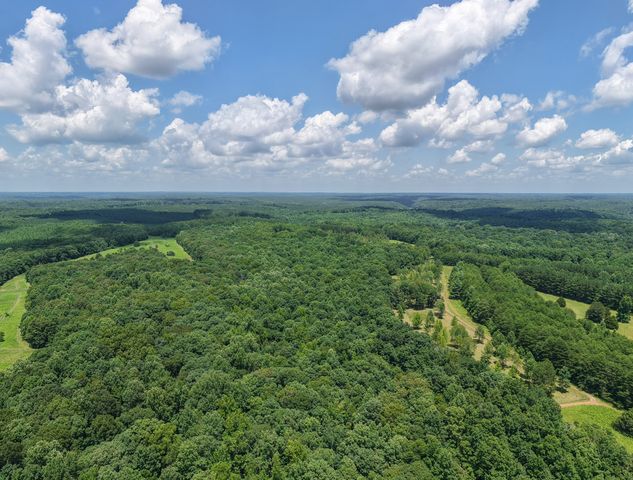 2200 Little Texas Rd, Goodspring, TN 38460