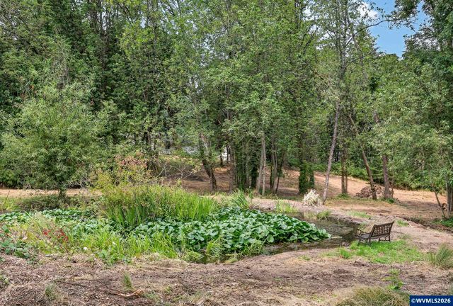 38325 Scravel Hill Rd NE, Albany, OR 97322