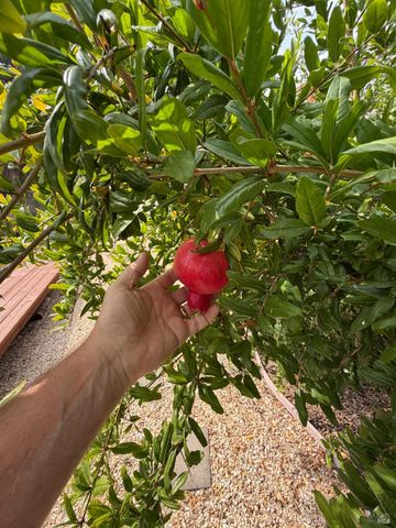 9784 dawn Way, Windsor, CA 95492