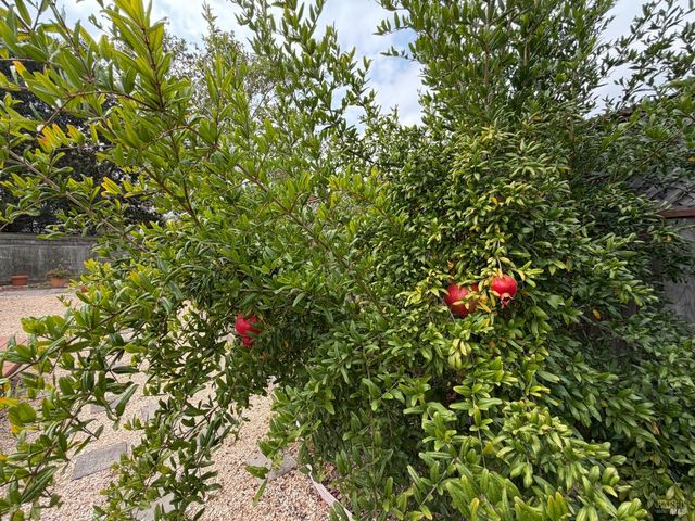 9784 dawn Way, Windsor, CA 95492