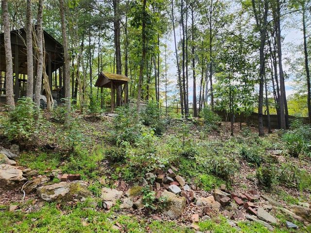 0 COCHRAN Road, South Fulton, GA 30331