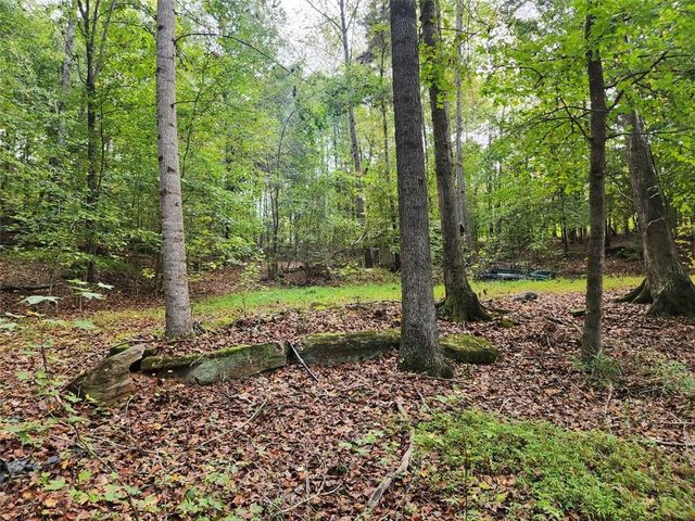 0 COCHRAN Road, South Fulton, GA 30331
