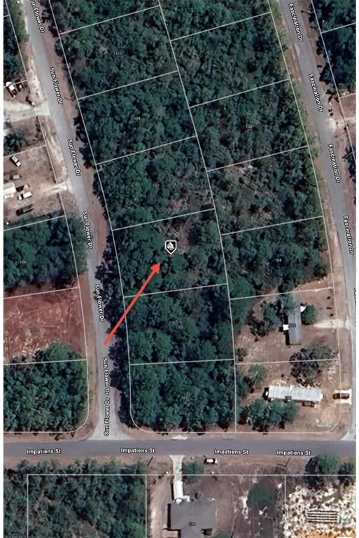 105 SUNFLOWER DRIVE, Lake Placid, FL 33852