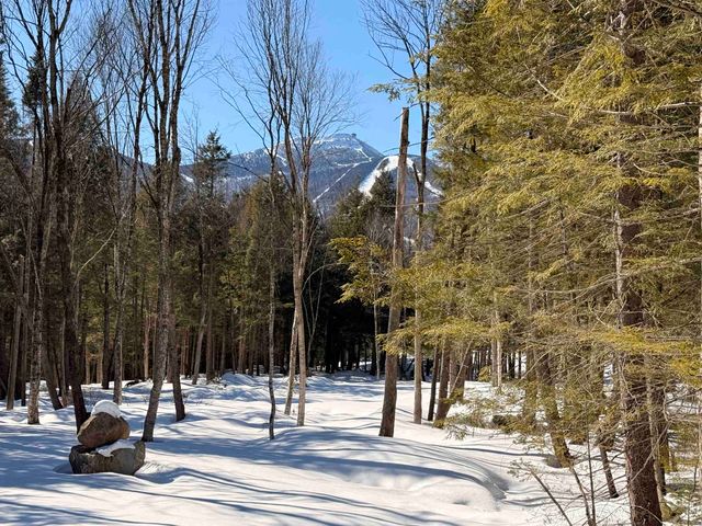 14 Aikins Drive, Jay, VT 05859