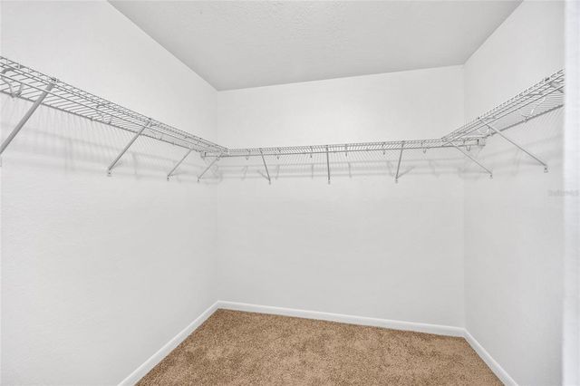 9822 BROWNSTONE DRIVE, Tampa, FL 33612