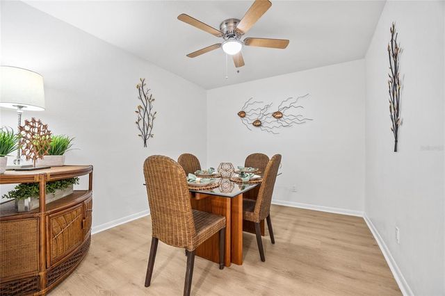 9822 BROWNSTONE DRIVE, Tampa, FL 33612