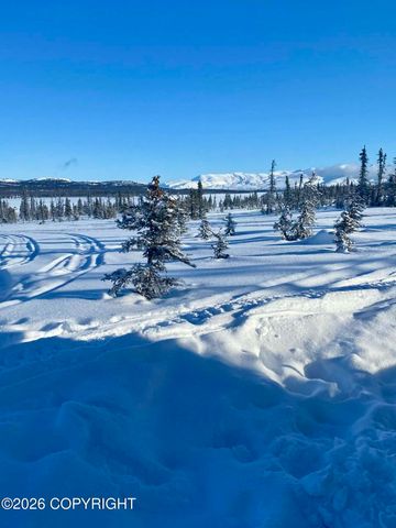 45589 CARIBOU LAKE REM SW, Homer, AK 99603