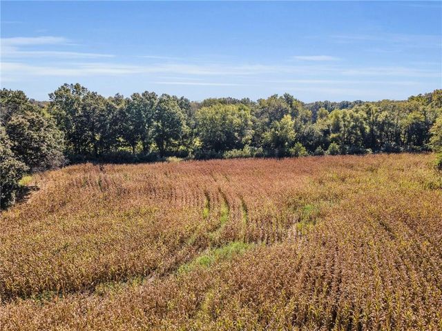 14271 Mount Tabor Road, Odessa, MO 64076