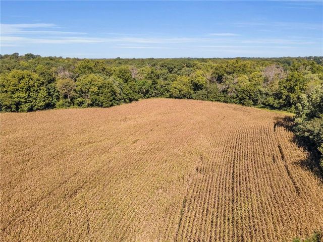 14271 Mount Tabor Road, Odessa, MO 64076