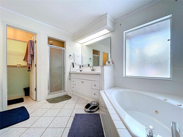 8402 SOUTHWOOD PINES STREET, Lithia, FL 33547